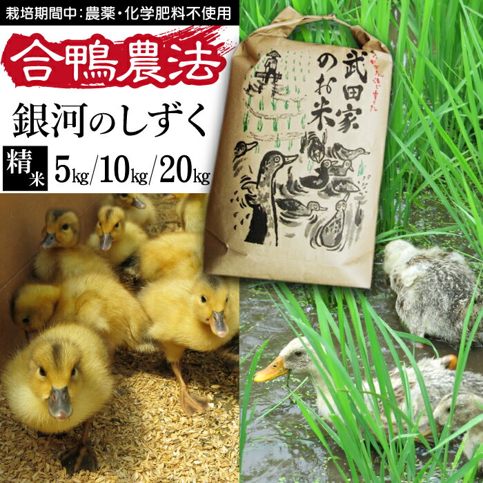 【ふるさと納税】 令和5年度産 銀河のしずく 精米 合鴨農法 武田家のお米 特A 5kg 10kg 20kg 送料無料...