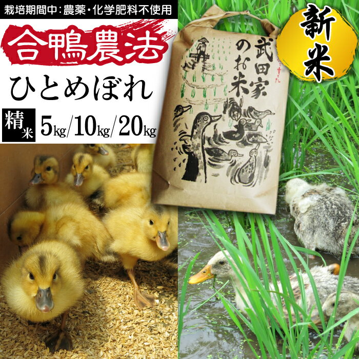 【ふるさと納税】 新米 令和6年産 ひとめぼれ 精米 合鴨農法 武田家のお米 5kg 10kg 20kg 送料無料 白米 米 あい鴨 カモ アイ鴨 鴨 アイガモ 選べる 5キロ 10キロ 20キロ 国産 美味しい 少量 産地直送 農家直送 お米 ご飯 白飯 おにぎり 単一原料米 岩手県産 岩手県 滝沢市