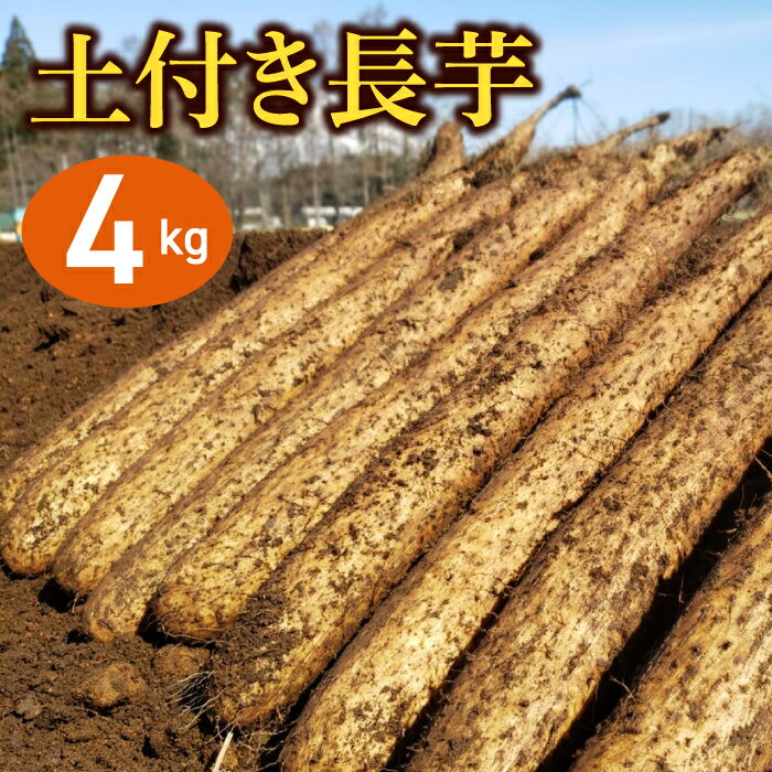 【ふるさと納税】 切っても変色しない 土付き 長芋 4kg ／ ながいも 長いも いも 芋 4キロ 滋養強壮 とろろ 山掛け 山かけ 野菜 生野菜 春野菜 秋野菜 根菜 鮮度長持ち 常温発送 岩手県 滝沢市 農家直送 産地直送 送料無料のサムネイル