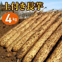 8位! 口コミ数「0件」評価「0」 切っても変色しない 土付き 長芋 4kg ／ ながいも 長いも いも 芋 4キロ 滋養強壮 とろろ 山掛け 山かけ 野菜 生野菜 春野菜 ･･･ 