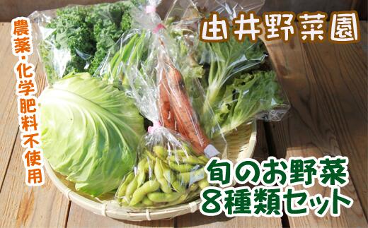 【ふるさと納税】 旬のお野菜8種類セット《農薬・化学肥料不使用》【由井野菜園】岩手県 滝沢市 野菜 やさい ヤサイ 旬の野菜 旬 おまかせ 詰合せ セット 無農薬 自然 農家 直送 袋 送料無料 BH-001のサムネイル
