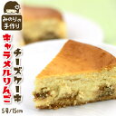 【ふるさと納税】 チーズケーキ おすすめ キャラメル りんご 5号 直径 15cm / ホールケーキ 林檎 リンゴ チーズ ケーキ CHEESE CAKE 焼菓子 洋菓子 おやつ おもてなし お取り寄せ デザート スイーツ 手作り 人気 冷凍発送 冷蔵解凍 岩手県 滝沢市 送料無料 みのりホーム