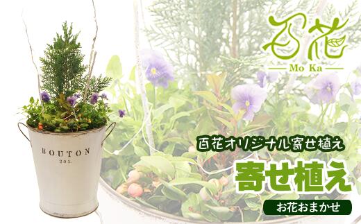 花 寄せ植え 完成品 ギフト 花器 百花オリジナルの寄せ植え(5000円分)プレゼント ガーデニング 季節 お花 お祝い 贈り物 誕生日 母の日 父の日 敬老の日 フラワー グリーン 観葉植物 記念日 結婚祝い 生花 春 夏 秋 冬 百花 -MoKa- 岩手県 滝沢市 送料無料