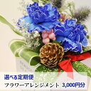 【ふるさと納税】 花 ギフト おすすめ 誕生日 フラワーギフト フラワーアレンジメント 定期便 《3000円分》 選べる定期便 アレンジ 贈り物 母の日 父の日...