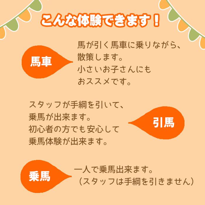 【ふるさと納税】 おすすめ 馬 うま ウマ 体験チケット 3,000円分 体験 チケット ふれあい 触れあい 動物 乗馬 引馬 乗馬体験 馬車 騎乗 レジャー アクティビティ 楽しい 夏休み 子ども 大人 スポーツ アウトドア 馬体験 馬っこパーク 岩手県 滝沢市 送料無料