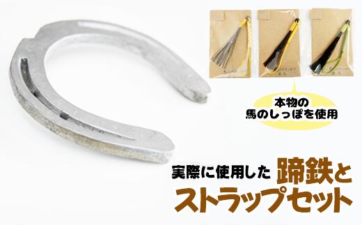 18位! 口コミ数「1件」評価「2」 蹄鉄 （鉄製 シルバー）×馬のしっぽの 毛ストラップ （芦毛）馬蹄 蹄鉄 馬 本物 毛 しっぽ アクセサリー インテリア 置物 雑貨 幸運･･･ 