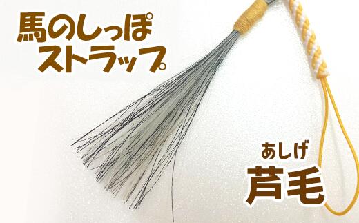 【ふるさと納税】 蹄鉄 （鉄製 シルバー）×馬のしっぽの 毛ストラップ （芦毛）馬蹄 蹄鉄 馬 本物 毛 しっぽ アクセサリー インテリア 置物 雑貨 幸運 厄除 お守り 岩手県 滝沢市 送料無料 U-013