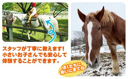 【ふるさと納税】引馬体験 体験チケット 1回分 チケット 体験 馬 乗馬 うま ウマ ふれあい たいけん 体験券 子ども 大人 引馬 動物 どうぶつ 【馬っこパーク・いわて】岩手県 滝沢市 送料無料その2