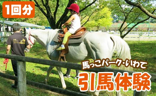 【ふるさと納税】引馬体験 1回分 チケット 体験 馬 乗馬 うま ウマ ふれあい たいけん 体験券 子ども 大人 引馬 【馬っこパーク・いわて】岩手県 滝沢市 送料無料 U-001