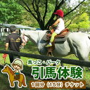【ふるさと納税】 引馬 体験 おすすめ 引馬体験 チケット 1回分 / ふれあい 引き馬 乗馬 馬 ホース ホースセラピー 動物 アニマル アニマルセラピー セラピー 癒し 体験チケット 観光 遊び お出掛け アクティビティ 子供 大人 岩手県 滝沢市 送料無料 馬っこパーク・いわて