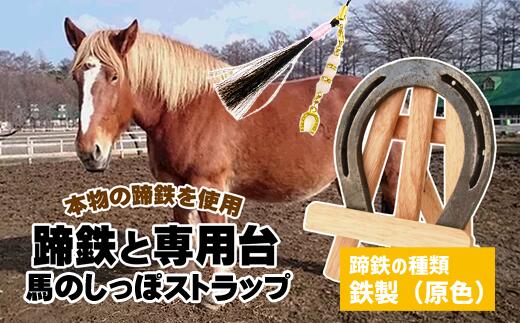 馬 ウマ うま グッズ セット 本物 蹄鉄 しっぽ アクセサリー 手作り 幸運 厄除け お守り 選べる種類 天然石 馬っこパークオリジナルセット [鉄製 原色](蹄鉄・専用台・馬のしっぽストラップ)[馬っこパーク・いわて] 岩手県 滝沢市 送料無料