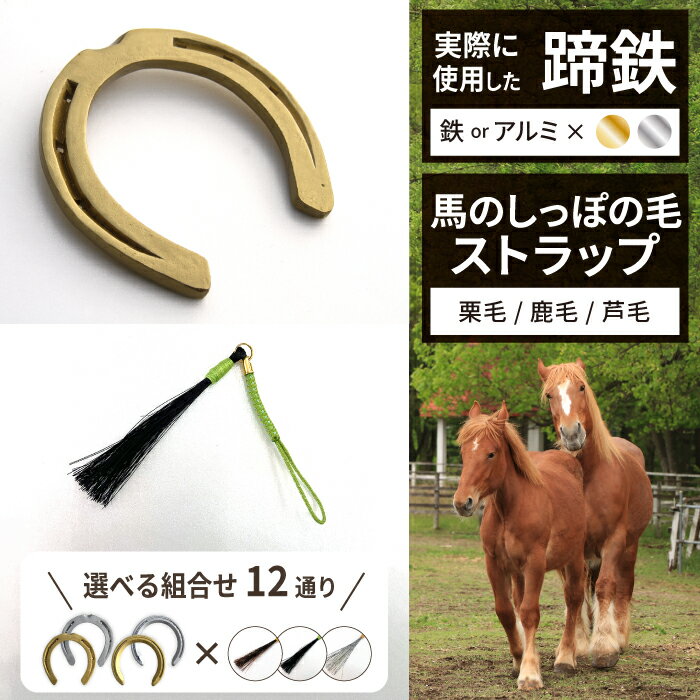 楽天市場】競走馬 蹄鉄の通販