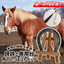【ふるさと納税】 蹄鉄 おすすめ てい鉄 × 専用台 × 馬の尻尾の毛 ストラップ / 馬蹄 馬てい 本物 蹄 インテリア 加工済 クラフト 置物 置き物 おしゃれ 雑貨 幸運 開運 厄除け 魔除け お守り 馬毛 尻尾 誕生石 馬 グッズ 岩手県 滝沢市 送料無料 馬っこパーク・いわて