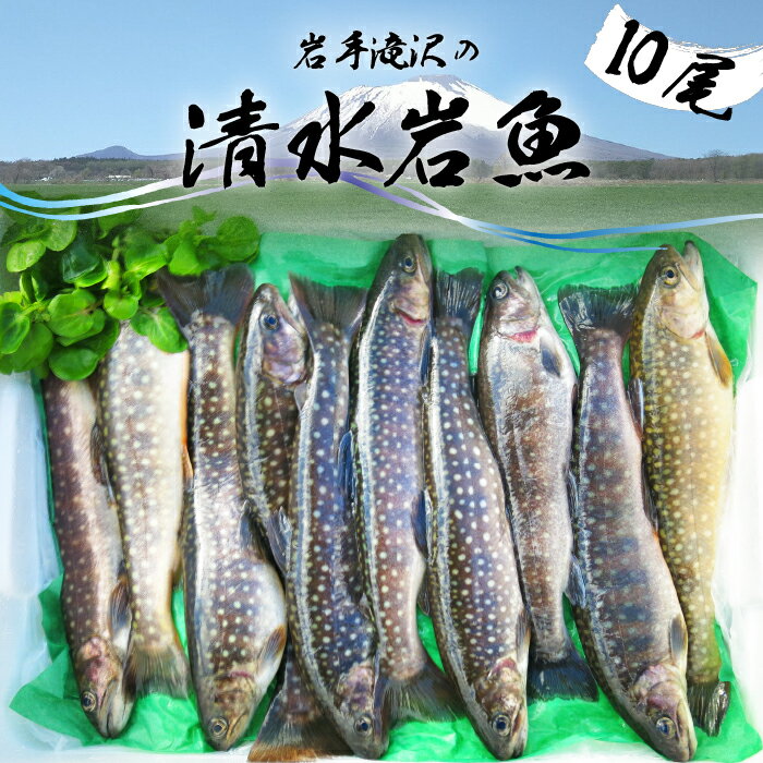 その他水産物(イワナ)人気ランク5位　口コミ数「0件」評価「0」「【ふるさと納税】 岩手滝沢 清水岩魚 活け〆 10尾 【行徳養魚場】 ／ 総量1kg程度 生魚 鮮魚 新鮮 川魚 清流 岩魚 いわな イワナ 魚 焼き魚 揚げ物 煮物 塩焼き ホイル焼き ムニエル 一夜干し 骨酒 BBQ バーベキュー おかず 魚介 東北 国産 産地直送 岩手県 滝沢市 送料無料」