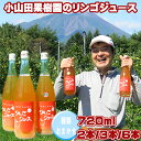 【ふるさと納税】 りんごジュース おすすめ 種類おまかせ 720ml 2本 3本 6本 / りんご リンゴ 林檎 アップル ジュース 林檎ジュース アップルジュース ストレートジュース お取り寄せ 果汁100% 果物 くだもの フルーツ ドリンク 岩手県 滝沢市 送料無料 小山田果樹園