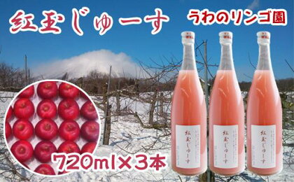 りんご 林檎 リンゴ 紅玉 こうぎょく 紅玉のじゅーす 720ml×3本 セット ジュース フルーツ フルーツジュース アップル アップルジュース 果物 くだもの 瓶 ビン 720ml 3本 贈答用 贈答 ギフト 贈物 お中元 お歳暮【うわのリンゴ園】岩手県 滝沢市 送料無料