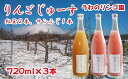 【ふるさと納税】りんご 林檎 リンゴ りんごじゅーす（紅玉2本 サンふじ1本） 720ml×3本 セット ジュース フルーツ フルーツジュース アップル アップルジュース 果物 くだもの 瓶 ビン 720ml 3本 贈答用 贈答 ギフト お中元【うわのリンゴ園】岩手県 滝沢市 送料無料