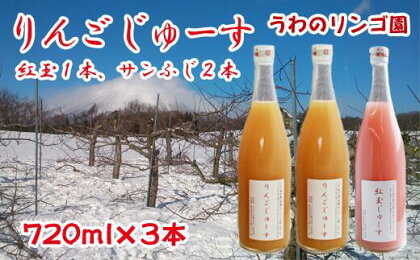 りんご 林檎 リンゴ りんごじゅーすミックス（紅玉1本・サンふじ2本） セット 720ml×3本 ジュース フルーツ フルーツジュース アップル アップルジュース 果物 くだもの 瓶 ビン 贈答用 贈答 ギフト お中元【うわのリンゴ園】岩手県 滝沢市 送料無料