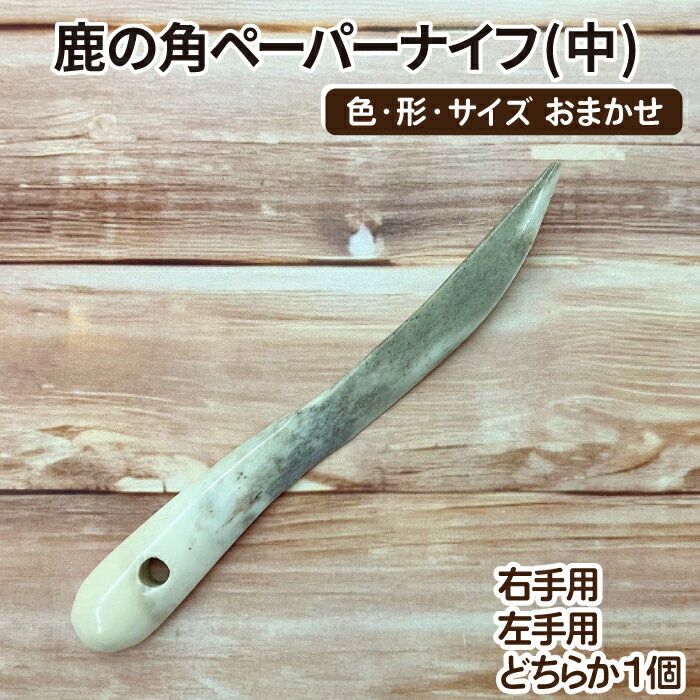 【ふるさと納税】 鹿角 おすすめ 鹿の角 ペーパーナイフ 中 選べる 右手用 左手用 1個 / 鹿 しか 角 つの ツノ 加工 加工品 工芸 工芸品 クラフト ...