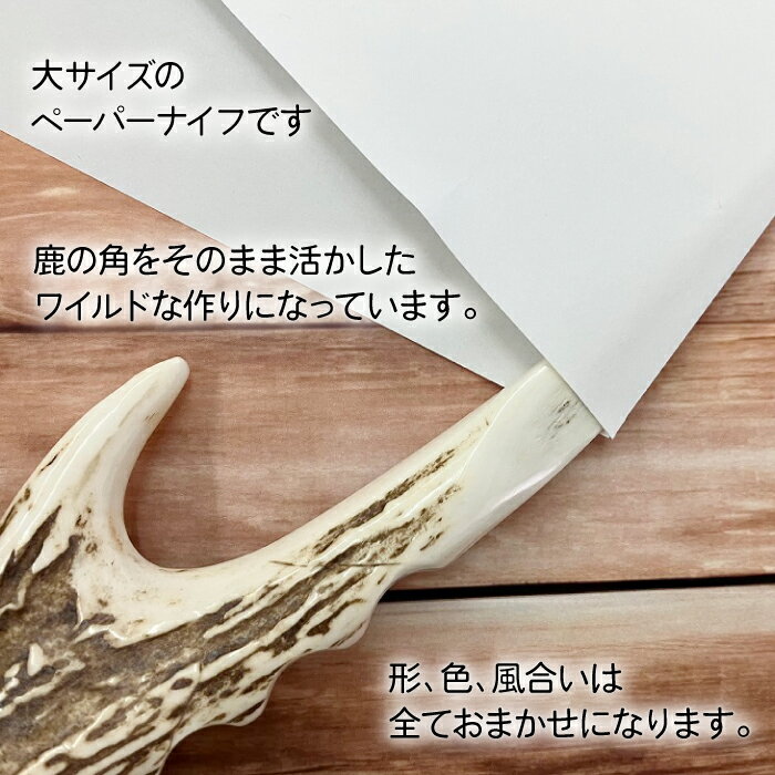 【ふるさと納税】 鹿角 おすすめ 鹿の角 ペーパーナイフ 大 1個 ／ 鹿 しか 角 つの ツノ 加工 加工品 工芸 工芸品 クラフト グッズ 日用品 雑貨 オフィス用 デスク用 事務用 仕事用 経理 総務 不揃い ふぞろい 本物 天然 ワイルド 珍しい 人気 岩手県 滝沢市 送料無料 竜鹿