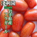 【ふるさと納税】 ミニトマト おすすめ フラガール 1kg / 高糖度 トマト とまと 1kg 1キロ 野菜 やさい フレッシュ 新鮮 夏野菜 旬 甘い 美味しい フルーツトマト 楕円 稀少 期間限定 お取り寄せ グルメ 夏 産地直送 農家直送 国産 人気 岩手県 滝沢市 送料無料 淺利園