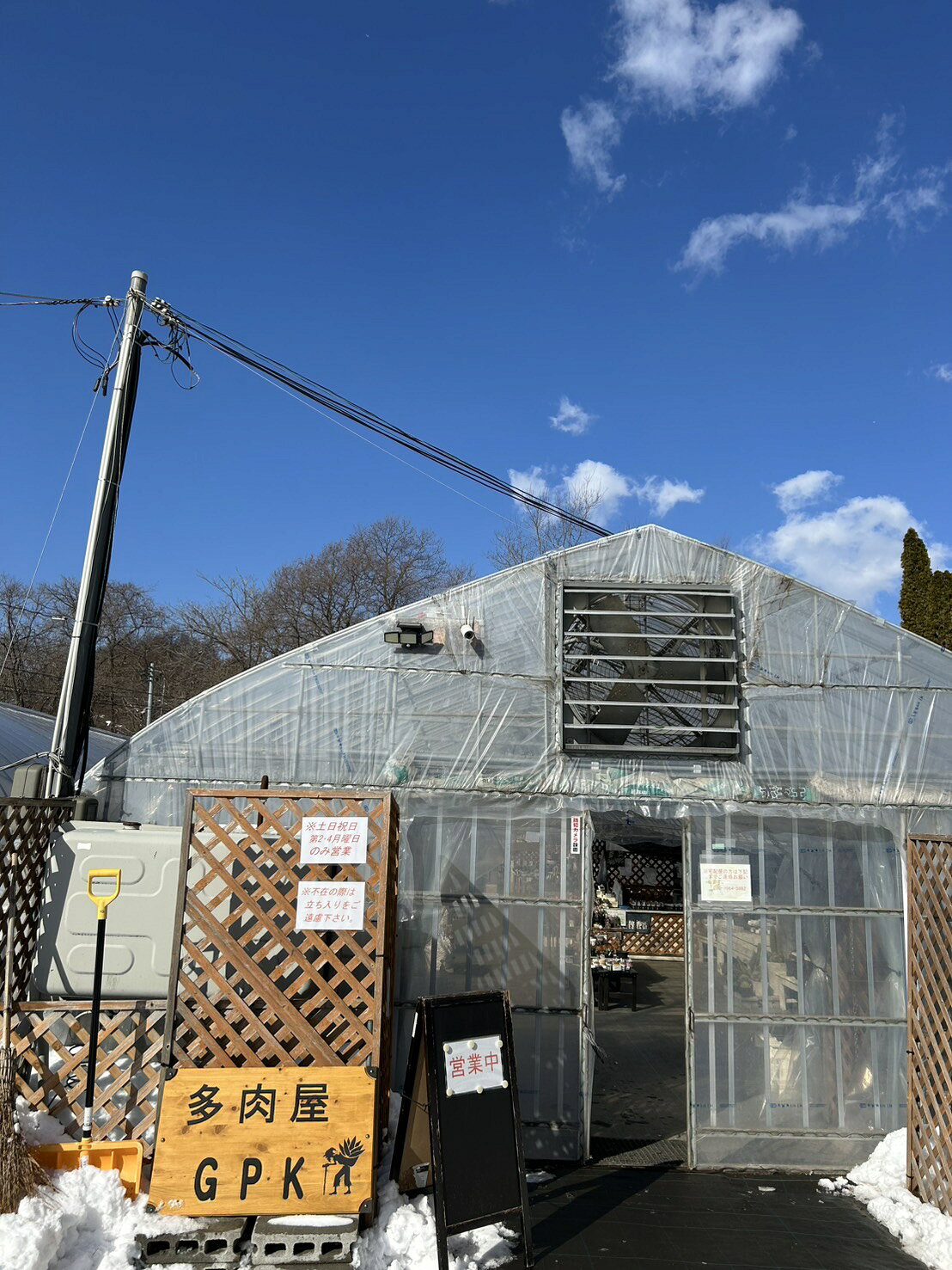 【ふるさと納税】 エケベリア おまかせ おすすめ 多肉植物 2個 4個 オリジナル交雑種 / インテリア オシャレ おしゃれ 多肉 観葉植物 植物 人気 高評価 趣味 ナチュラル 自然 かわいい ミニサイズ 玄関 室内 ガーデニング 園芸 苗 ポット苗 多肉屋GPK 岩手県 滝沢市 送料無料