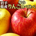 【ふるさと納税】 りんご おすすめ 岩手県産 訳あり リンゴ セット / 訳アリ わけあり 林檎 アップル 品種 おまかせ 旬 秋 冬 果物 くだもの 国産 新...