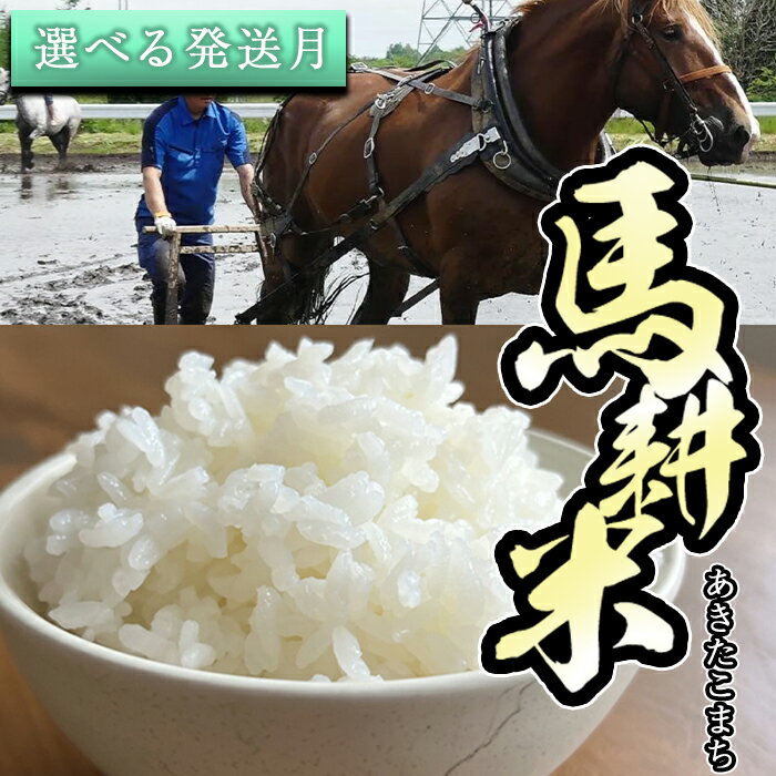 【ふるさと納税】 令和7年産 おすすめ 精米 白米 馬耕米 あきたこまち 10kg 選べる発送月 / 1月発送 / 2月発送 / 国産 東北 コメ ごはん ご飯...