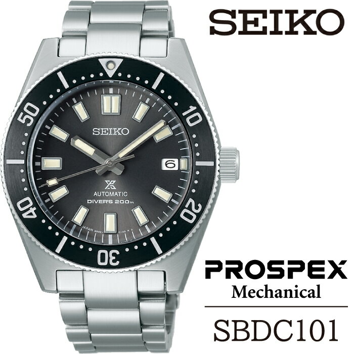 【ふるさと納税】 SEIKO 腕時計 SBDC101 セイコ