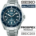 【ふるさと納税】 セイコー 腕時計 おすすめ SBDC203 SEIKO プロスペックス メカニカル 3年保証 / 岩手県 雫石町 時計 ウォッチ ウオッチ 男性用 メンズ ビジネス フォーマル カジュアル 高級 プレゼント ギフト ブランド 父の日 成人祝い 社会人 記念日 お祝い 送料無料
