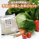 【ふるさと納税】 季節の野菜とお米 詰め合わせ ／ 岩手県 雫石町 野菜 7品 ～ 8品 季節野菜 春野菜 夏野菜 秋野菜 新鮮 フレッシュ 米 白米 精米 銀河のしずく 真空パック 1kg 1キロ お取り寄せ 食材 フード 農産物 産地直送 送料無料 【道の駅雫石あねっこ】