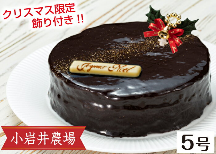【ふるさと納税】 ★期間限定★ 小岩井農場 ショコラケーキ 5号 約425g 飾り(柊) 乳製品 岩手県 雫石町 クリスマス ケーキ チョコレート ガトーショコラ あんず アプリコット 人気 おすすめ スイーツ 洋菓子 送料無料 H-020