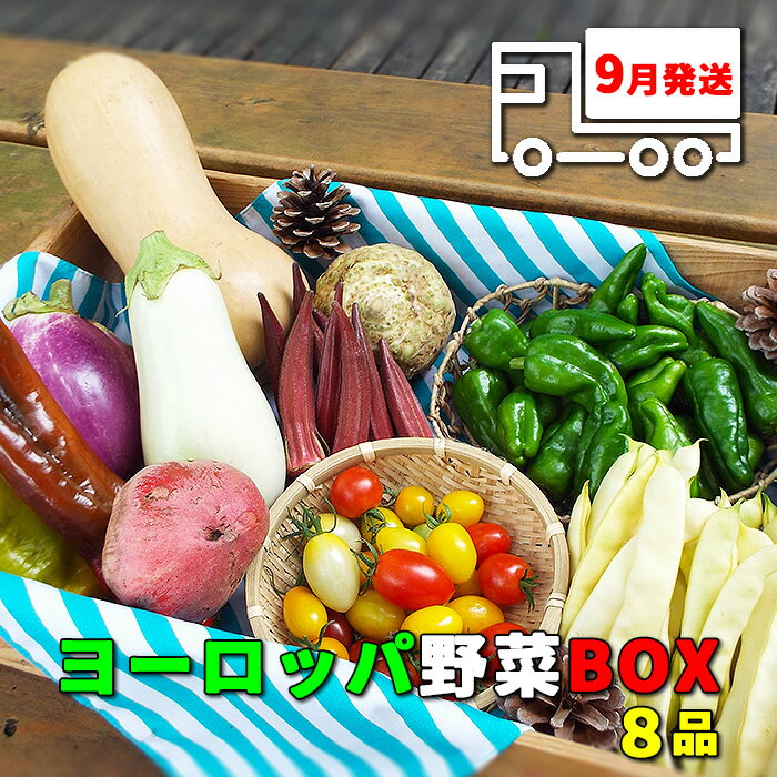 【ふるさと納税】 野菜ソムリエ 産直松の実の松原店長 厳選 ヨーロッパ野菜 BOX 8品 ／ 岩手県 雫石町 採れたて 新鮮 野菜 ヨーロッパ フレッシュ セット 生鮮食品 カラフル オシャレ 季節野菜 季節 夏野菜 詰合せ 詰め合せ 国産 冷蔵発送 冷蔵 お取り寄せ 産地直送 送料無料