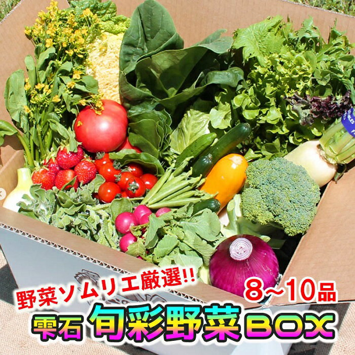 野菜ソムリエ 産直松の実の松原店長 厳選 旬菜野菜BOX 8品〜10品 / 岩手県 雫石町 朝採れ 採れたて 新鮮 野菜 果物 フレッシュ セット 厳選 生鮮食品 加工品 米 季節野菜 季節 詰合せ 詰め合せ 国産 冷蔵発送 冷蔵 お取り寄せ 産地直送 送料無料