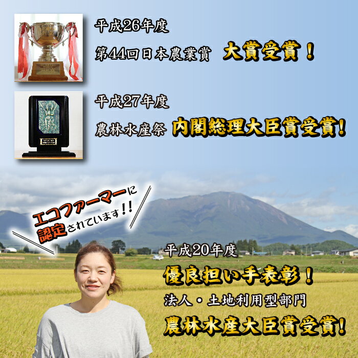 【ふるさと納税】 ◆定期便6ヶ月◆ ひとめぼれ 精米 10kg×1袋 10キロ 毎月計6回お届け 総計60kg 60キロ 乾式無洗米 岩手県 雫石町 米 白米 産地直送 送料無料 A-006