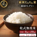【ふるさと納税】 銀河のしずく 無洗米 おすすめ 早期予約受付 選べる 5kg 8kg 10kg 15kg 20kg 銀河たんたん米 単発便 定期便 / 乾式無...