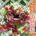 【ふるさと納税】 花工房らら倶楽部 ハンギングバスケット 壁...