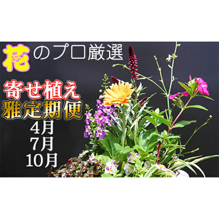 【ふるさと納税】花工房らら倶楽部花のプロが厳選季節を楽しむ寄せ植え【雅】3ヶ月定期便4月7月10月年3回発送岩手県雫石町花生花鉢花の定期便フラワーアレンジメント鉢植えインテリア自宅玄関ベランダ鉢花観葉植物送料無料V-017