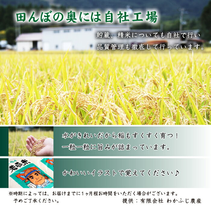 【ふるさと納税】 ◆精米◆ ひとめぼれ 約20kg 20キロ 岩手県 雫石町 米 産地直送 送料無料 N-002