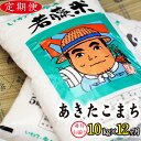 【ふるさと納税】 ◆定期便12ヶ月◆ あきたこまち 精米 約