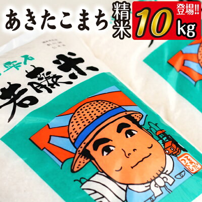 楽天ふるさと納税　【ふるさと納税】 あきたこまち 精米 10kg 10キロ （5kg×2袋） ／ 東北 岩手県 雫石町 白米 お米 米 ご飯 ごはん こめ コメ ライス ふっくら つやつや 出荷日精米 国産 人気 健康食 お取り寄せ 特産品 単一原料米 水分含量高め 農家直送 産地直送 送料無料 わかふじ農産