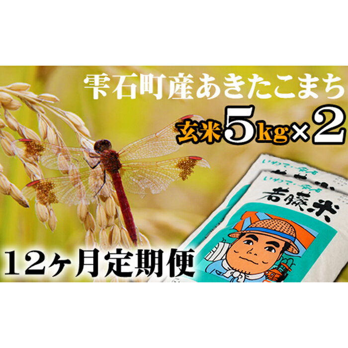 【ふるさと納税】◆定期便12ヶ月◆あきたこまち玄米約5kg×2袋約10kg10キロ毎月12回お届け総計120kg120キロ米水分含量高めごはん国産岩手県雫石町産地直送送料無料N-019