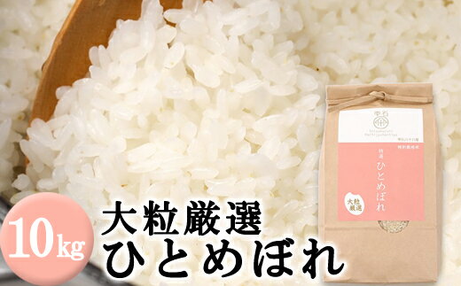 大粒厳選 ひとめぼれ 精米 10kg 10キロ 白米 米 こめ ごはん ライス 単一原料米 健康食 ヘルシー フード グルメ チャーハン 炒飯 焼きめし ピラフ 家庭用 自宅用 お取り寄せ 岩手県 雫石町 国産 農家直送 産地直送 送料無料 雫石八十八屋