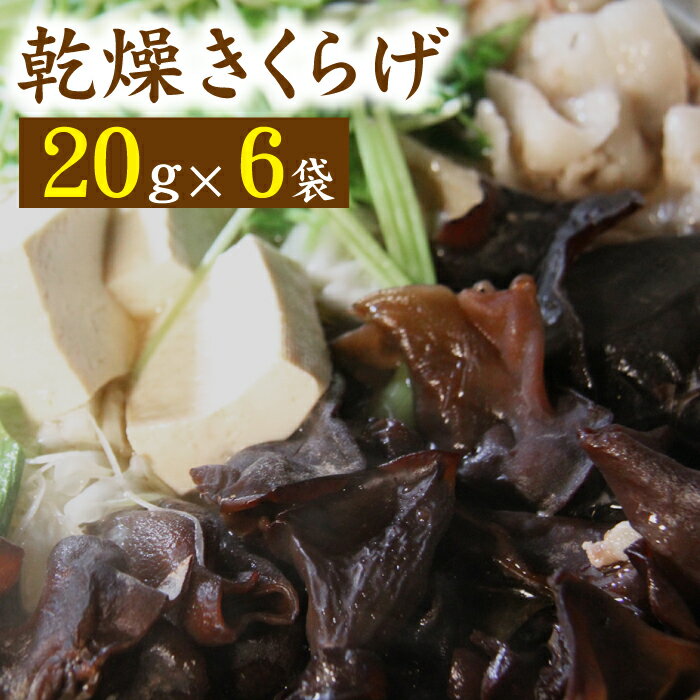 乾燥きくらげ 20g×6袋 総計120g きくらげ きのこ キノコ 乾燥 木耳 キクラゲ 日本産 国産 乾燥キクラゲ セット 個包装 乾物 スープ 中華 洋食 和食 料理 小分け 長期保存 長持ち 美味しい ぷにぷに コリコリ 岩手県 雫石町 送料無料