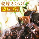 【ふるさと納税】 乾燥きくらげ おすすめ 20g×6袋 総計120g きくらげ きのこ キノコ 乾燥 木耳 キクラゲ 日本産 国産 乾燥キクラゲ セット 個包装...