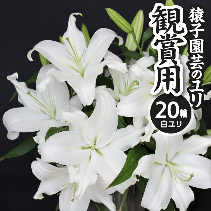 【ふるさと納税】 猿子園芸 白色のユリ 20輪以上 4〜5本 観賞用 ／ ゆり ユリ 百合 専門農家 花 お花 花き 生花 フラワー 花束 贈り物 プレゼント ギフト 母の日 母の日ギフト 誕生日 誕生日プレゼント 女性 結婚祝い お祝い 産地直送 農家直送 岩手県 雫石町 送料無料のサムネイル