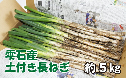 【ふるさと納税】 令和5年度産 土付長ねぎ ネギ ねぎ 葱 約5kg 5キロ 野菜 鍋 具材 しゃきしゃき 名産地 国産 産地直送 長期保存 農家直送 直送 【山崎正美】 岩手県 雫石町 送料無料 BA-006