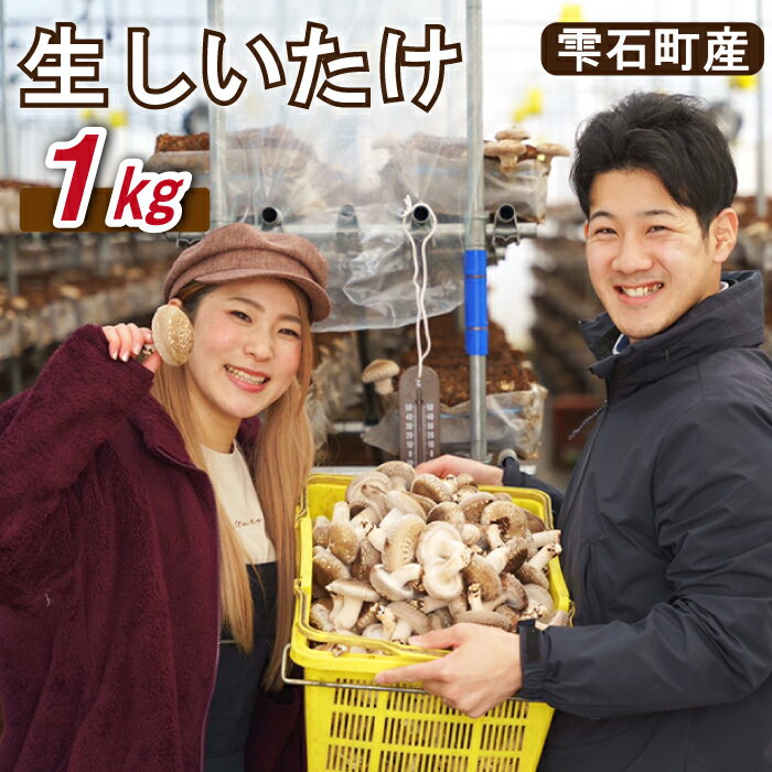 【ふるさと納税】しいたけ きのこ 生しいたけ 1kg 食べやすい 椎茸 シイタケ 臭み少なめ キノコ 茸 国産 雫石町産 鍋 お鍋 煮込み 出汁 料理 ご飯 美味しい たっぷり 若手農家 応援 バーベキュー BBQ 生 おいしい 肉厚 汁物 【さくらだファーム】岩手県 雫石町 送料無料