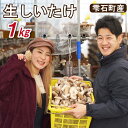 【ふるさと納税】しいたけ おすすめ きのこ 生しいたけ 1kg 食べやすい 椎茸 シイタケ 臭み少なめ キノコ 茸 国産 雫石町産 鍋 煮込み 出汁 料理 ご飯...
