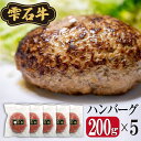 【ふるさと納税】 ハンバーグ おすすめ 手ごね 生ハンバーグ 5個 セット 牛肉 雫石牛 冷凍 お肉 肉 牛 保存 お弁当 おべんとう ごちそう パーティー 5個 昼食 夕飯 夜食 加工品 加工 おすそ分け 焼く ジューシー 子どもが喜ぶ 美味しい 【SSフーズ】岩手県 雫石町 送料無料